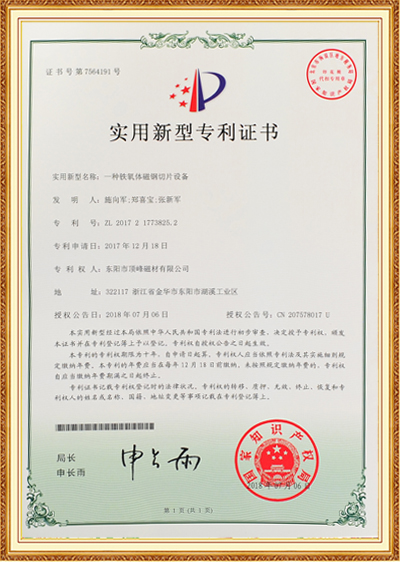 Patent Certificate 